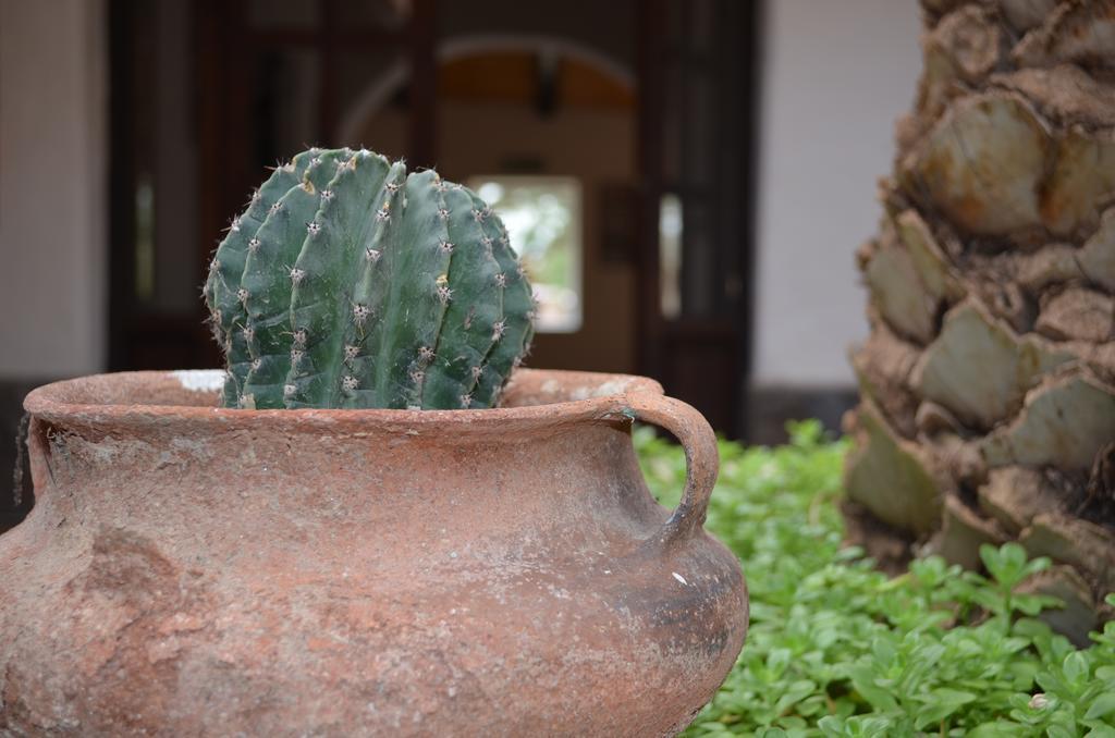 Finca El Carmen Angastaco Екстер'єр фото