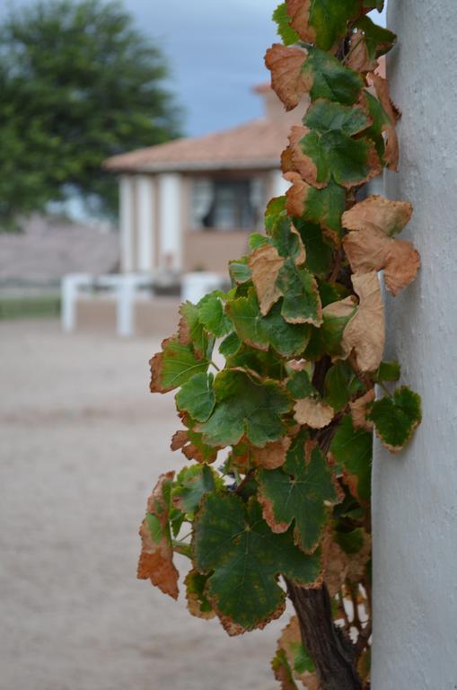 Finca El Carmen Angastaco Екстер'єр фото
