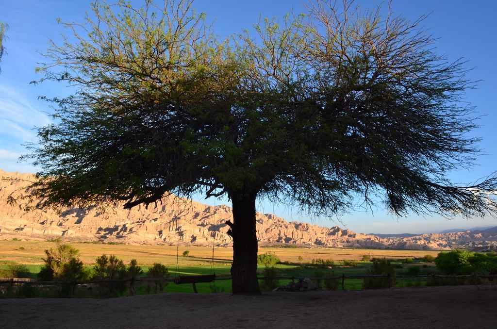 Finca El Carmen Angastaco Екстер'єр фото